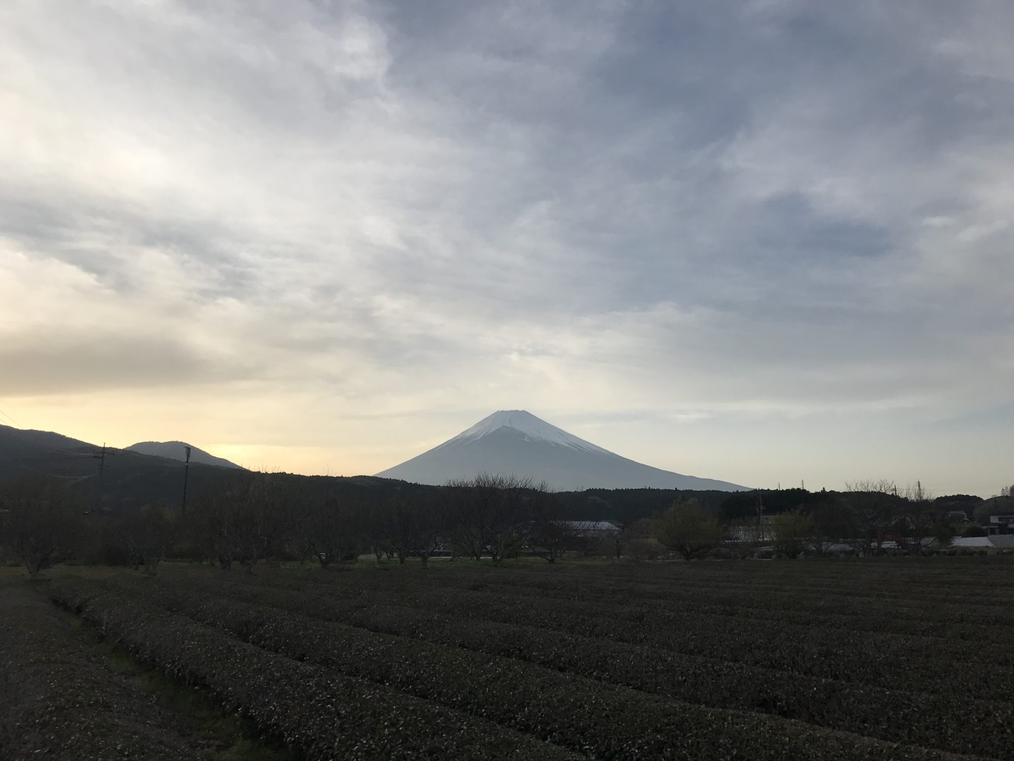 会社からの帰宅の途中で撮った富士山