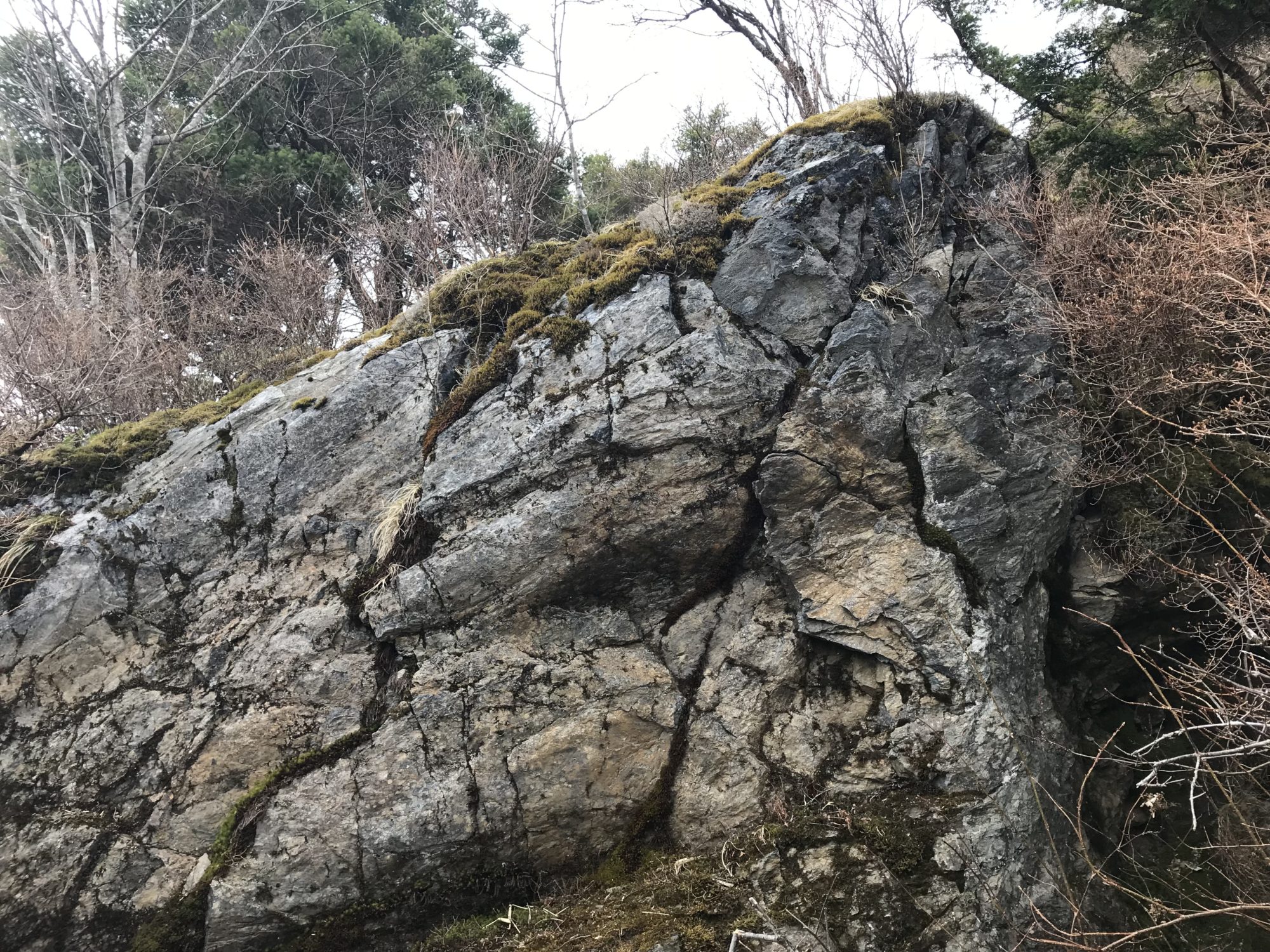 剣山の大きな岩
