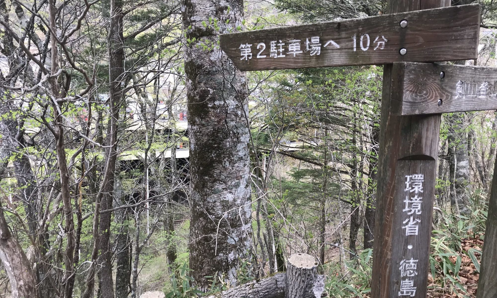 剣山(その3)、駐車場が満車 ちきゅうさんドットコム