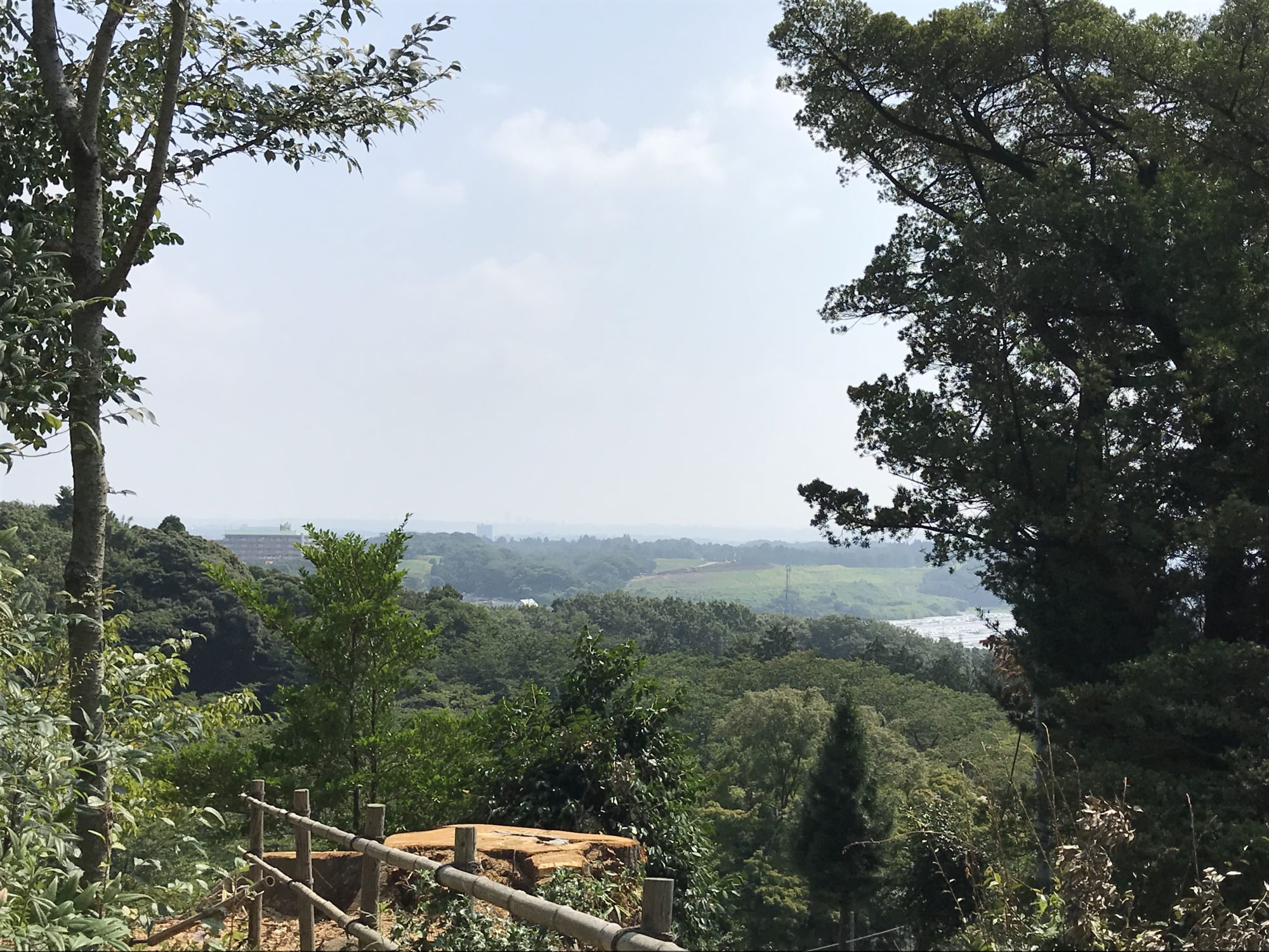 厚木飯山長谷寺からの景色