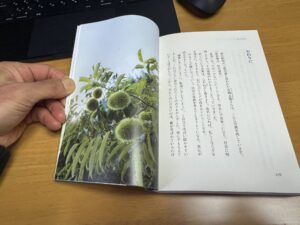 信じ切る力の栗の木