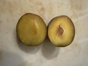 プルーン　ツアー　中味